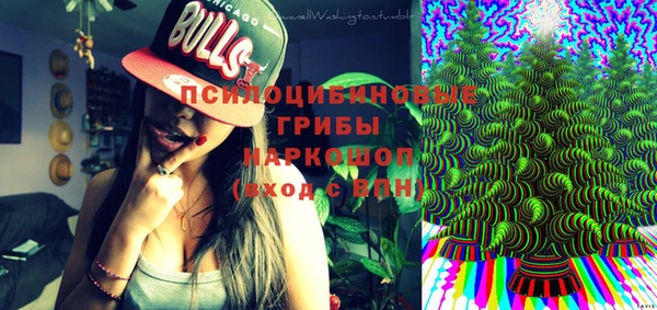 a pvp Алексин