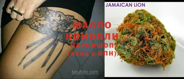 стаф Гатчина