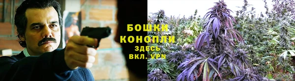 спайс Рославль